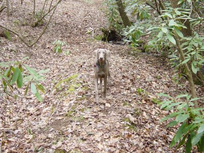 Boo - March 2007