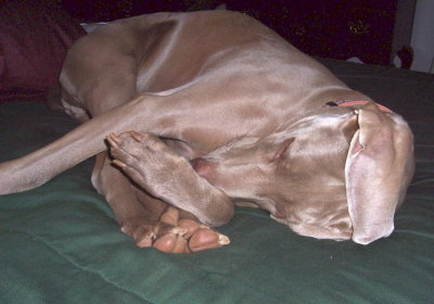 In Bed - Wad of Feet