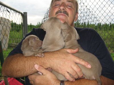 new_pups
