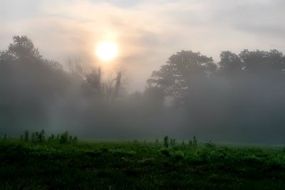 Early Morning Light