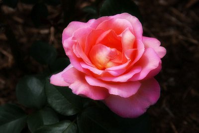 g1/16/721416/3/126164108.8NuZm0ba.jpg