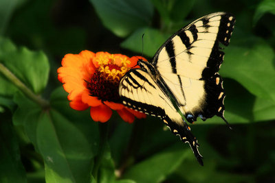 g1/16/721416/3/126748000.Z8SkQa8I.jpg