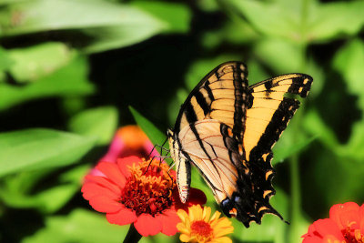 g1/16/721416/3/126935203.dBlmbmq3.jpg