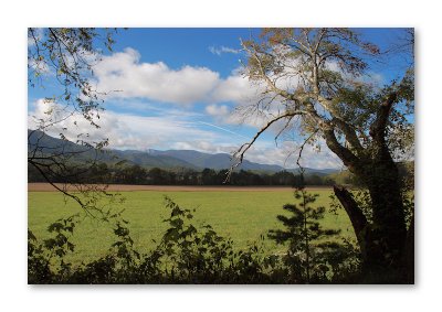 Cades Cove