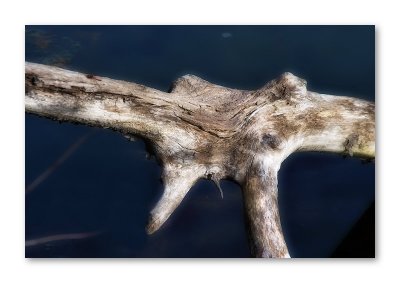 Old and weathered