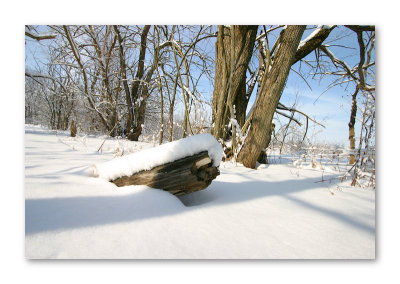 Let it Snow !