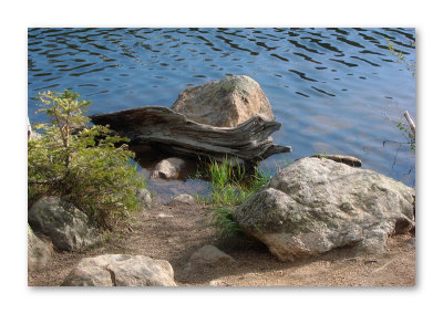 At the Waters Edge