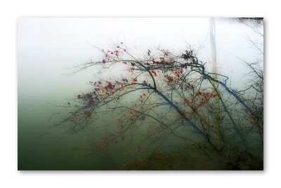 Foggy morning on the Water