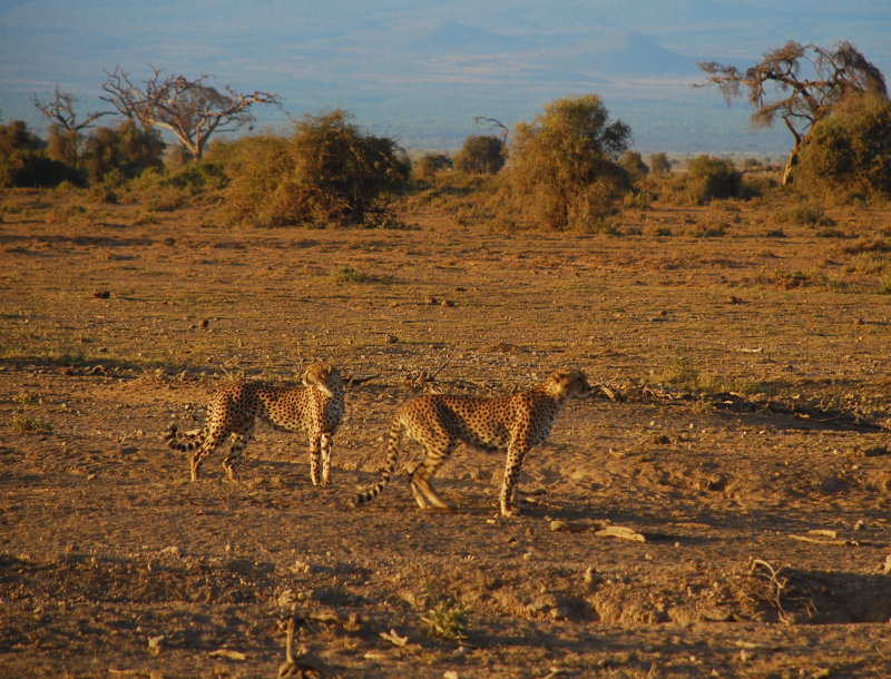 DSC_0586.JPG