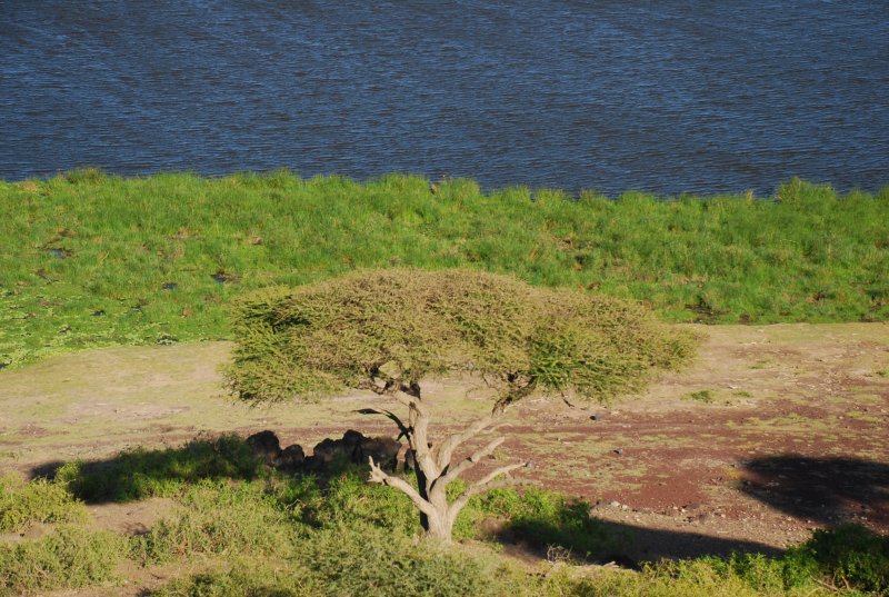 DSC_0771.JPG