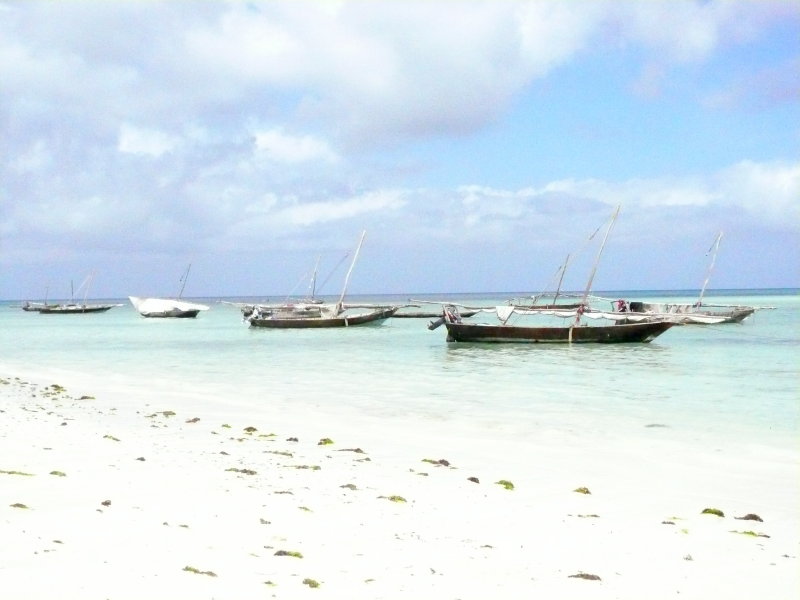 P1020130.JPG