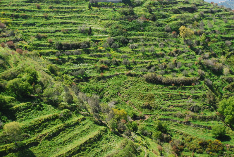 DSC_0163.JPG