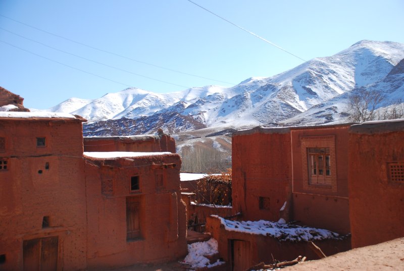 DSC_1103.JPG