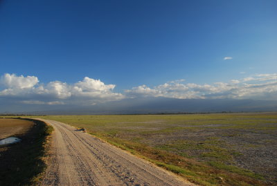 DSC_0786.JPG