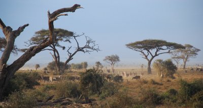 DSC_0858.JPG