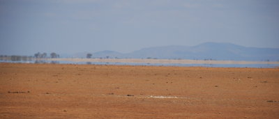DSC_0868.JPG