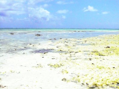 P1020134.JPG