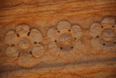 DSC_0325.JPG