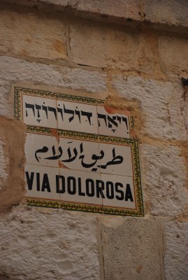 DSC_1021.JPG
