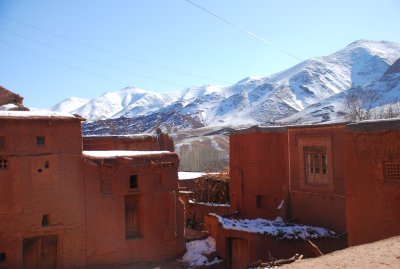 DSC_1103.JPG