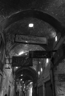 DSC_1134.JPG