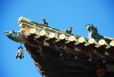 DSC_1725.jpg