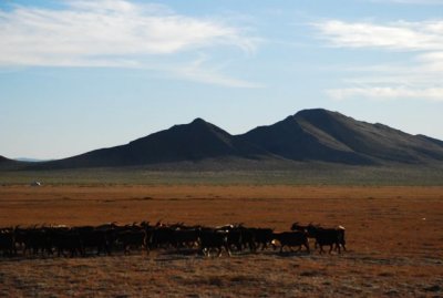 DSC_1846.jpg