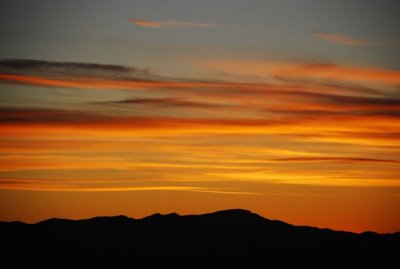 DSC_1906.jpg