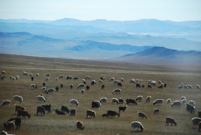 DSC_1919.jpg