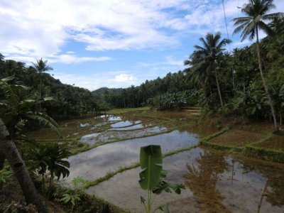 CIMG0317.jpg