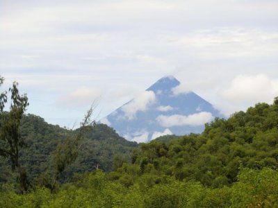CIMG0325.jpg