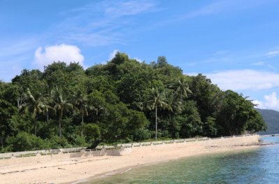 CIMG0327.jpg