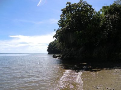 CIMG0339.jpg
