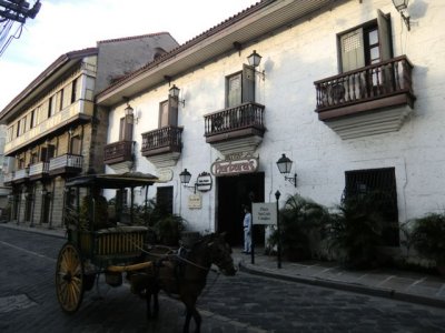 CIMG0353.jpg