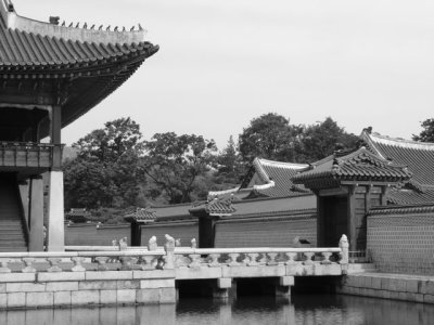 CIMG0054.jpg