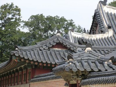 CIMG0060.jpg