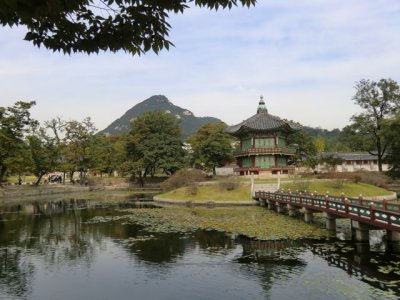 CIMG0076.jpg