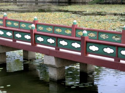 CIMG0078.jpg