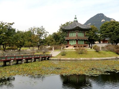 CIMG0079.jpg