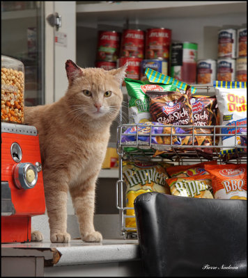 Le maitre de l'picerie!