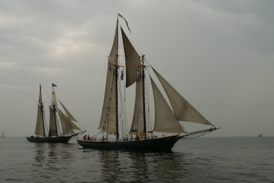The Great Chesapeake Bay Schooner Race -2008
