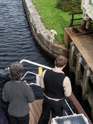 Caledonian Canal - Aberchalder swing bridge. Lock keepers dog, Skipper waiting for sausage