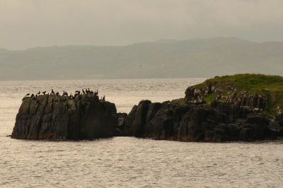 Approaching the Isle of Eigg
