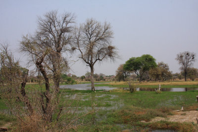 146 LM016394.jpg