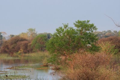 240 LM015464.jpg