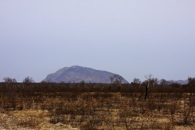 288 LM015933.jpg