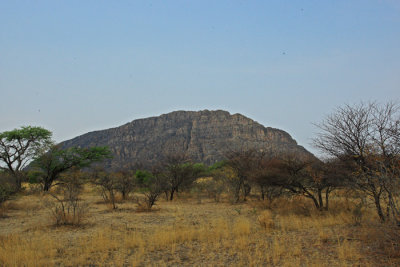 294 LM015438.jpg