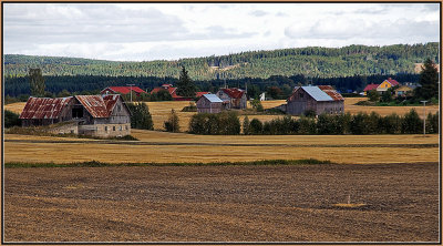 OLD  FARMS  IN  NORWAY 1
