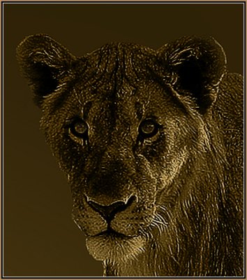 146-Pixelled-Lion-in-sepia.jpg