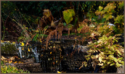 34-Botanical-Garden-2008.jpg